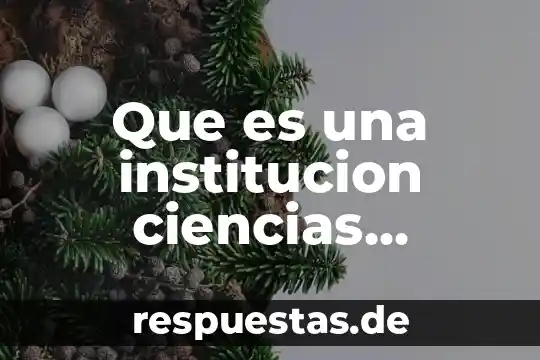 Que es una institucion gubernamental definicion 5 Que es una institucion ciencias sociales
