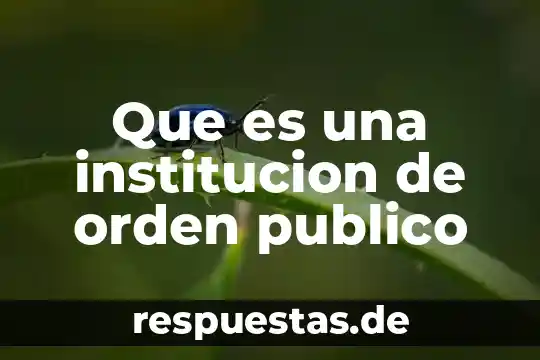 Que es una institucion gubernamental definicion 3 Que es una institucion de orden publico