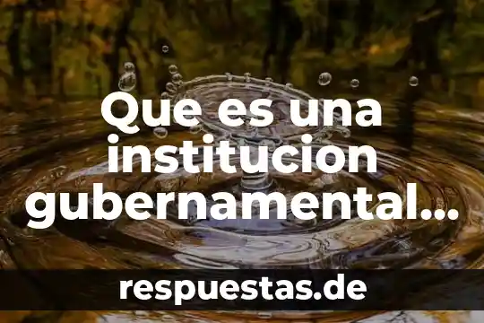 Que es la etica y los valores en una institucion 5 Que es una institucion gubernamental politica