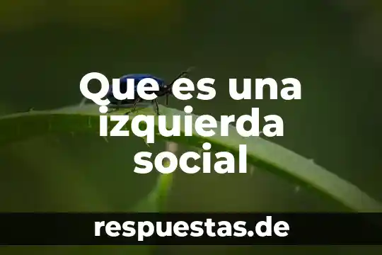 Que es ser izquierda o derecha 7 Que es una izquierda social