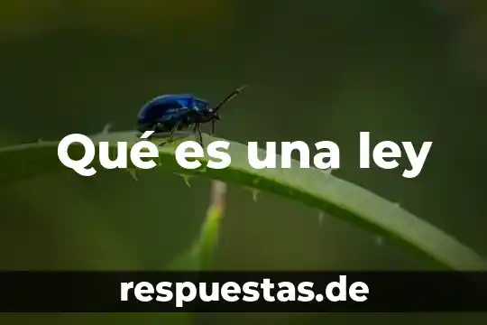 Qué es una ley