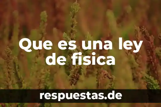 Qué es error aleatorio en física 7 Que es una ley de fisica