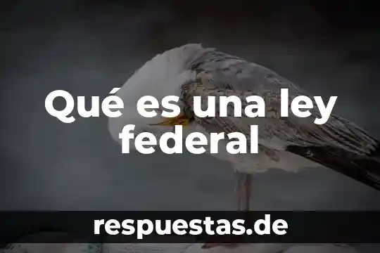 Una ley federal que es 6 Qué es una ley federal