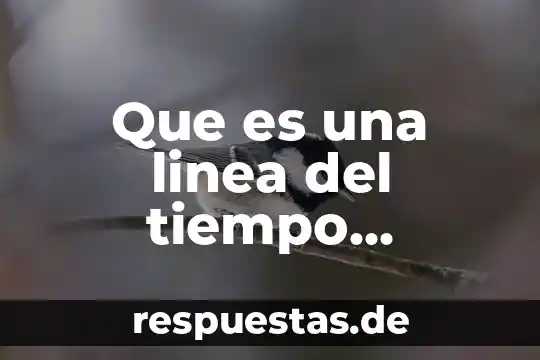 Qué es el cautiverio animal ventajas y desventajas 4 Que es una linea del tiempo ventajas y desventajas