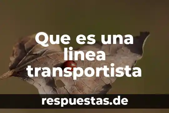 Qué es pseudoreplicación en estadística 8 Que es una linea transportista