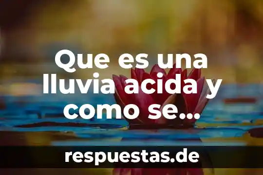Que es el alcohol bebida efectos produce 5 Que es una lluvia acida y como se produce