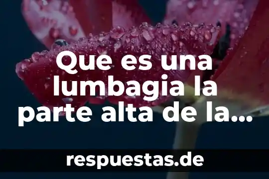 Que es ser parte de una sociedad 3 Que es una lumbagia la parte alta de la espalda