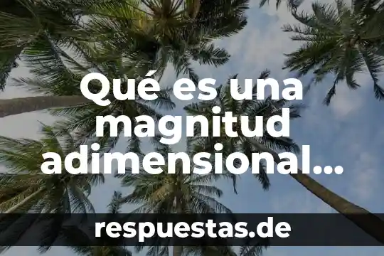Qué es arquitectura y ejemplos 3 Qué es una magnitud adimensional ejemplos
