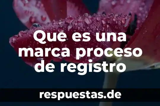Que es la clasificacion en el proceso del pensamiento 4 Que es una marca proceso de registro