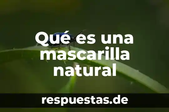 Que es el patrimonio natural para niños 7 Qué es una mascarilla natural