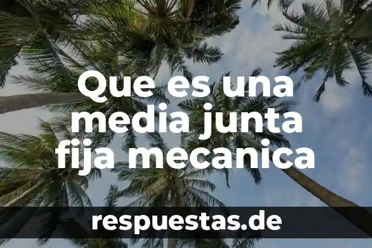 Que es ser alguien que se fija en los detalles 4 Que es una media junta fija mecanica