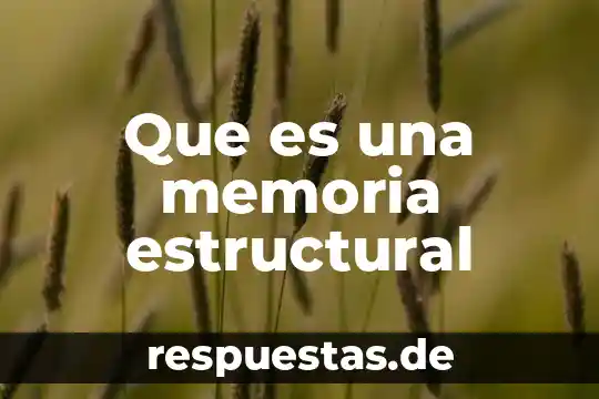 Que es teoría estructural funcionalista 8 Que es una memoria estructural