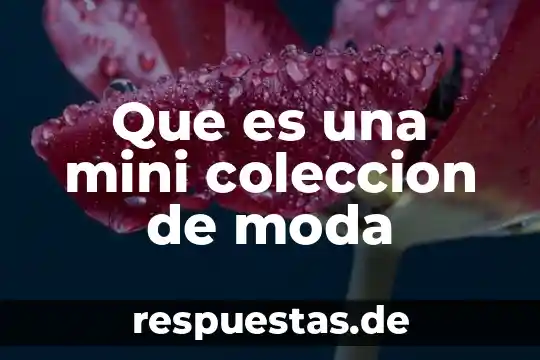 Que es un icono de moda 7 Que es una mini coleccion de moda
