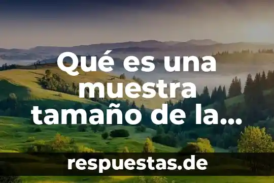 Qué es tamaño de lote económico en administración de empresas 3 Qué es una muestra tamaño de la muestra estadística