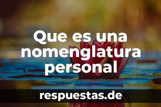 Qué es la esencia personal 7 Que es una nomenglatura personal