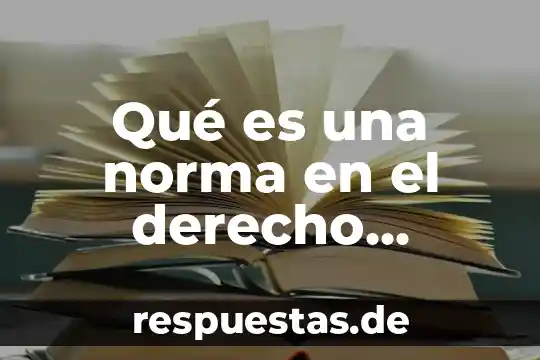 Que es un patrimonio derecho mexicano 5 Qué es una norma en el derecho mexicano