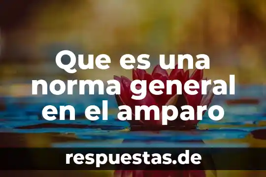 Que es el principio de instancia de parte en amparo 4 Que es una norma general en el amparo