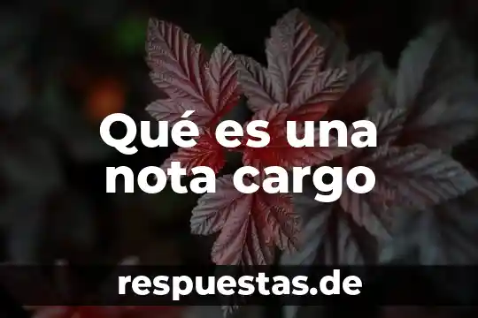 Cargo manctat 1118 banamex de que es 3 Qué es una nota cargo
