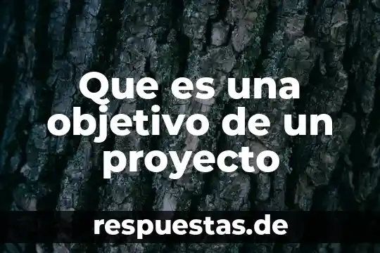 Qué es calendario de proyecto 4 Que es una objetivo de un proyecto