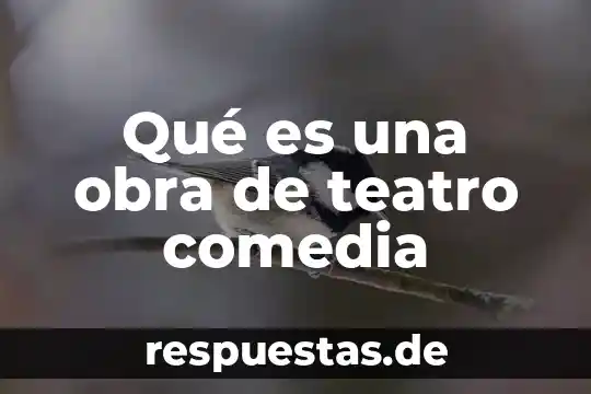 Que es el teatro y si historia 6 Qué es una obra de teatro comedia