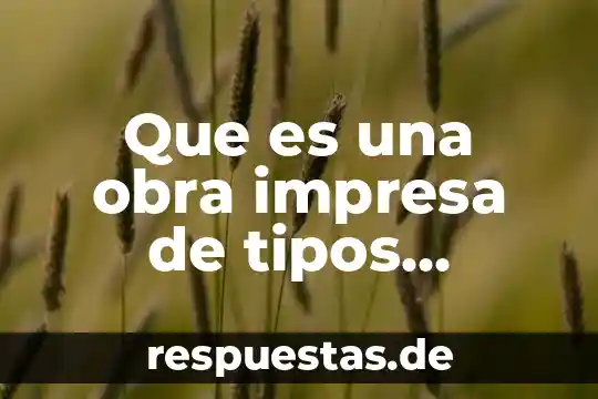 Que es una obra impresa de tipos existen