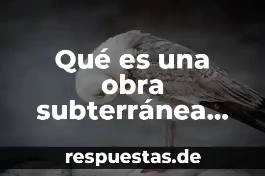 Qué es el tecnolecto definición 4 Qué es una obra subterránea definición
