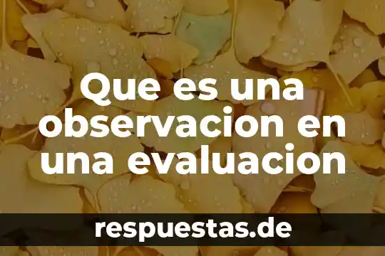 Qué es el interés observación del proceso escolar 5 Que es una observacion en una evaluacion