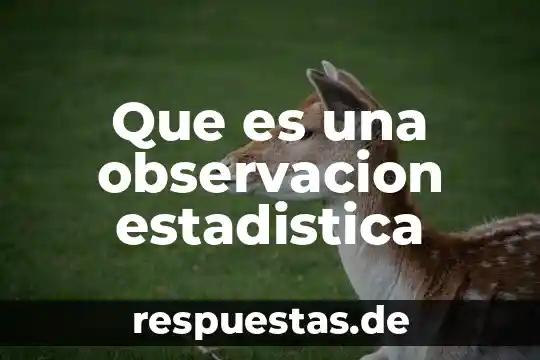 Qué es la observación significado y características 5 Que es una observacion estadistica