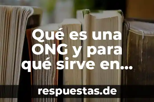 Qué es un comité de bioética y para qué sirve 8 Qué es una ONG y para qué sirve en Chile