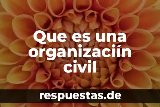 Qué es la sociedad civil deontología 7 Que es una organizaciín civil