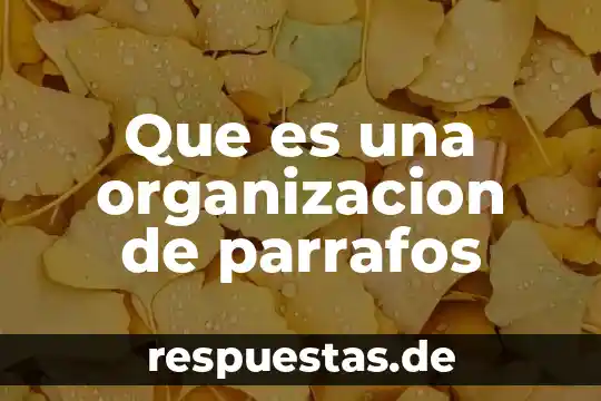 Qué es organización 4 Que es una organizacion de parrafos