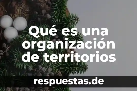 Que es explicacion organizacion del pensamiento prezi 3 Qu茅 es una organizaci贸n de territorios