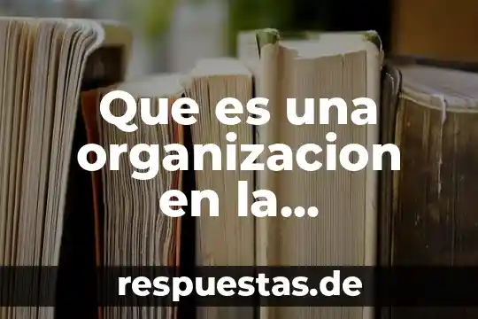 Que es una organizacion en la administracion