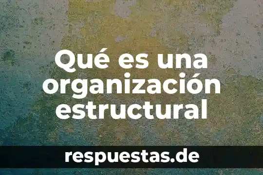 Que es teoría estructural funcionalista 3 Qué es una organización estructural