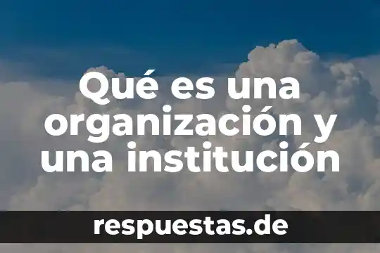 Que es explicacion organizacion del pensamiento prezi 8 Qu茅 es una organizaci贸n y una instituci贸n