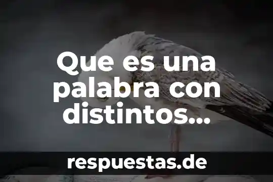 Que es significa la palabra poseran en la iglesia 3 Que es una palabra con distintos sentidos