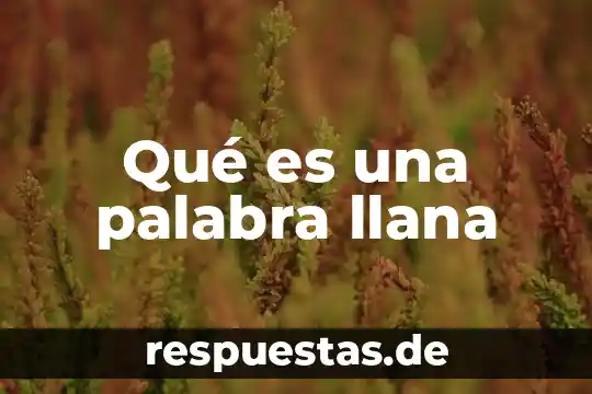 Que es significa la palabra poseran en la iglesia 6 Qué es una palabra llana