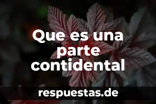 Que es una parte contidental