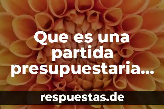 Que es una partida presupuestaria guatemala
