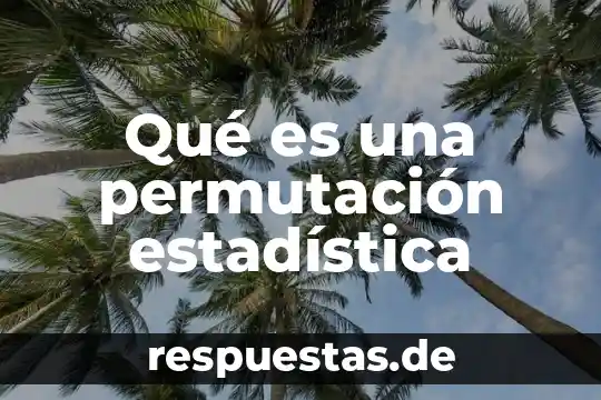 Qué es una permutación estadística