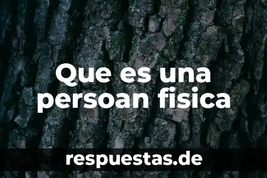 Qué es la teoría cuantica en física 4 Que es una persoan fisica