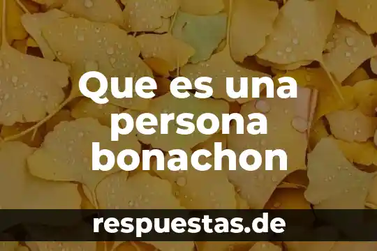Que es reglamentos mexico 7 Que es una persona bonachon