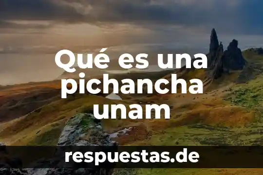 Qué es una pichancha unam