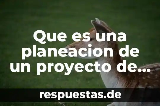 Que es el razonamiento informal 3 Que es una planeacion de un proyecto de boda