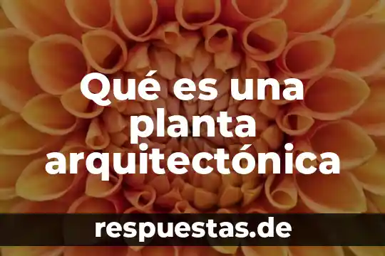 Que es una vista de planta arquitectonica 5 Qué es una planta arquitectónica