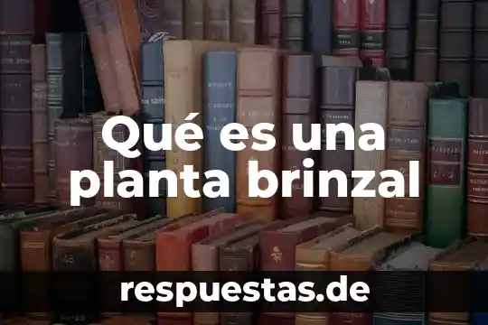 Que es librabza en la planta de emergencia 5 Qué es una planta brinzal