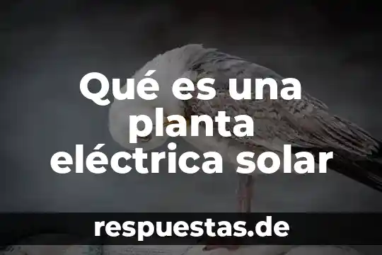 ¿Qué es mejor un lente solar o un lente polarizado? 4 Qué es una planta eléctrica solar