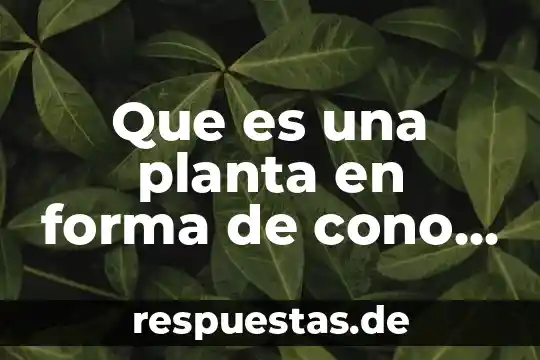 Que es infraestructura en arquitectura 4 Que es una planta en forma de cono arquitectura