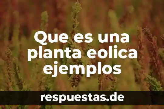 Ejemplos sobre que es el pib 8 Que es una planta eolica ejemplos