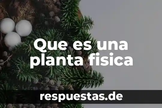 Qué es un órgano de una planta 3 Que es una planta fisica